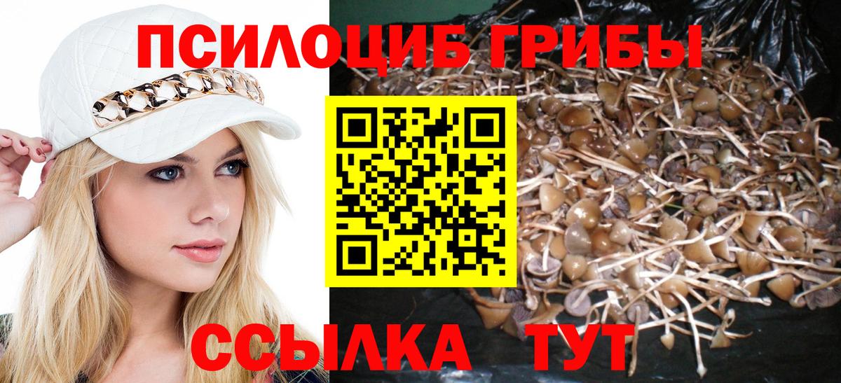 Аргун  Псилоцибиновые грибы мицелий  Вход с VPN 